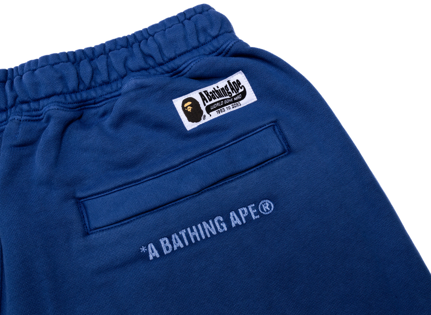 A Bathing Ape College One Point Overdye Pants in Blue - view 3
