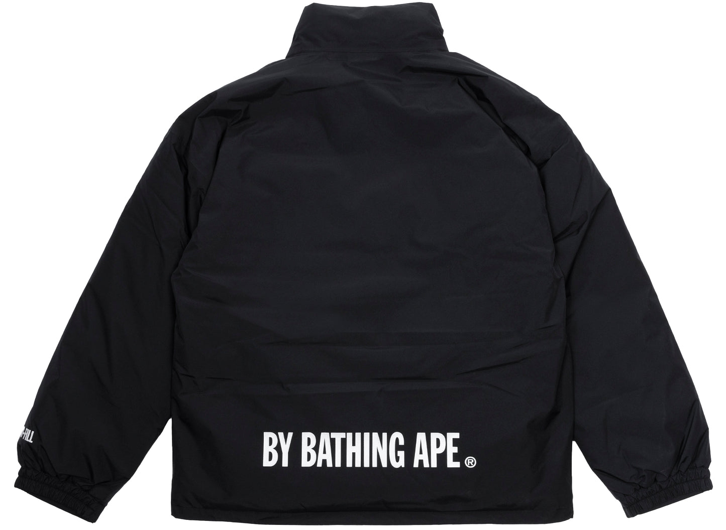 A Bathing Ape Gore-Tex Down Jacket - view 2