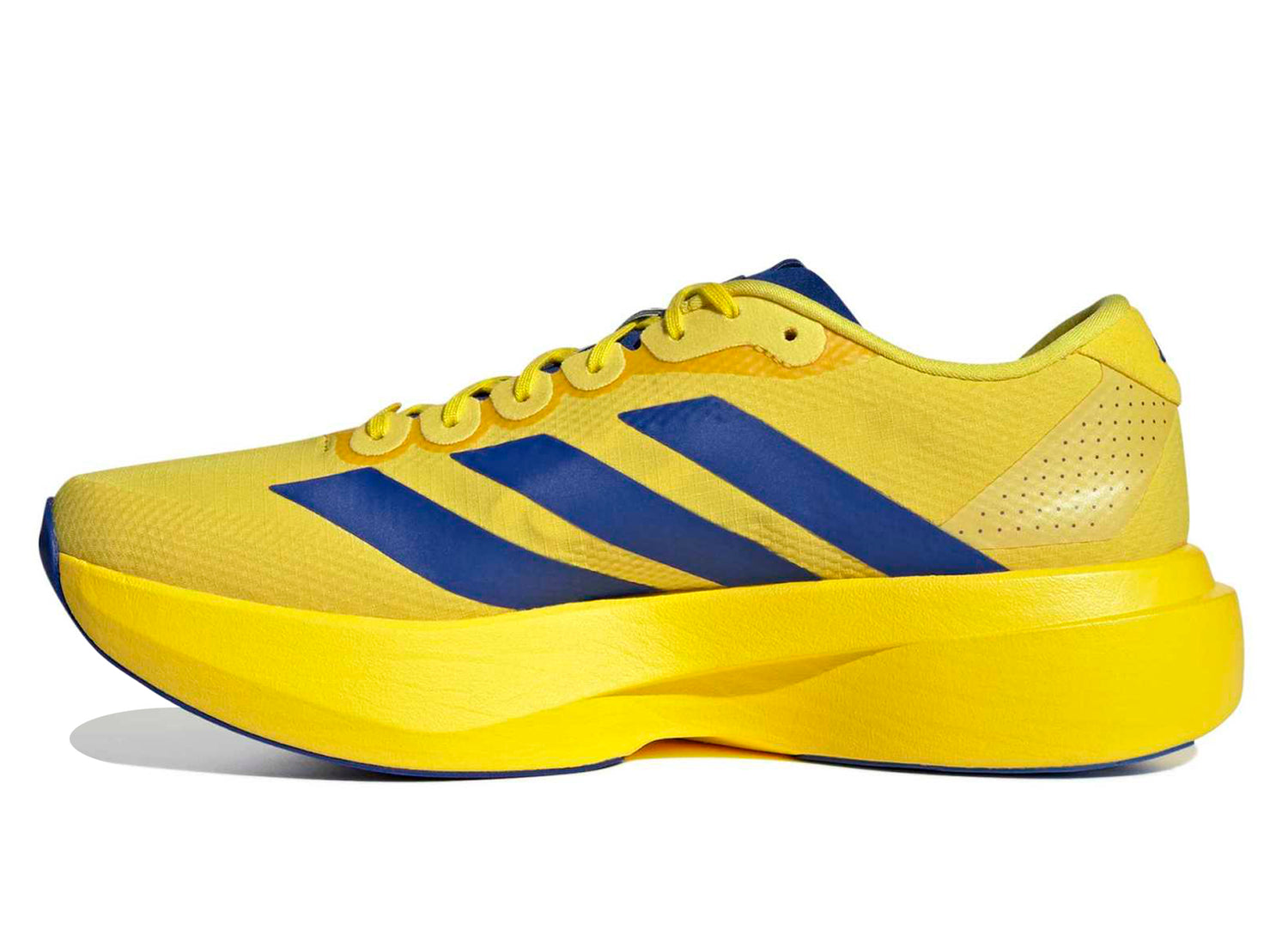 Adidas Adizero EVO SL Woven in Yellow / Team Royal Blue – Oneness