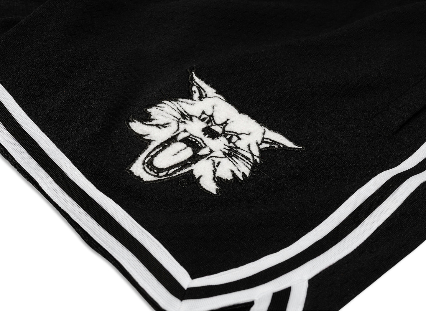 Mitchell & Ness Oneness Kentucky Wildcats Game Day Shorts in Black - view 2