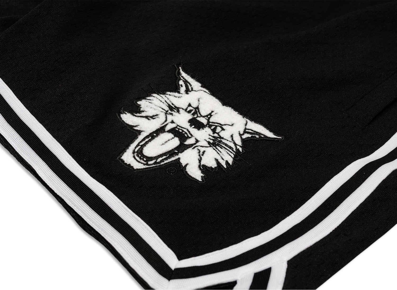 Mitchell & Ness Oneness Kentucky Wildcats Game Day Shorts in Black - view 2