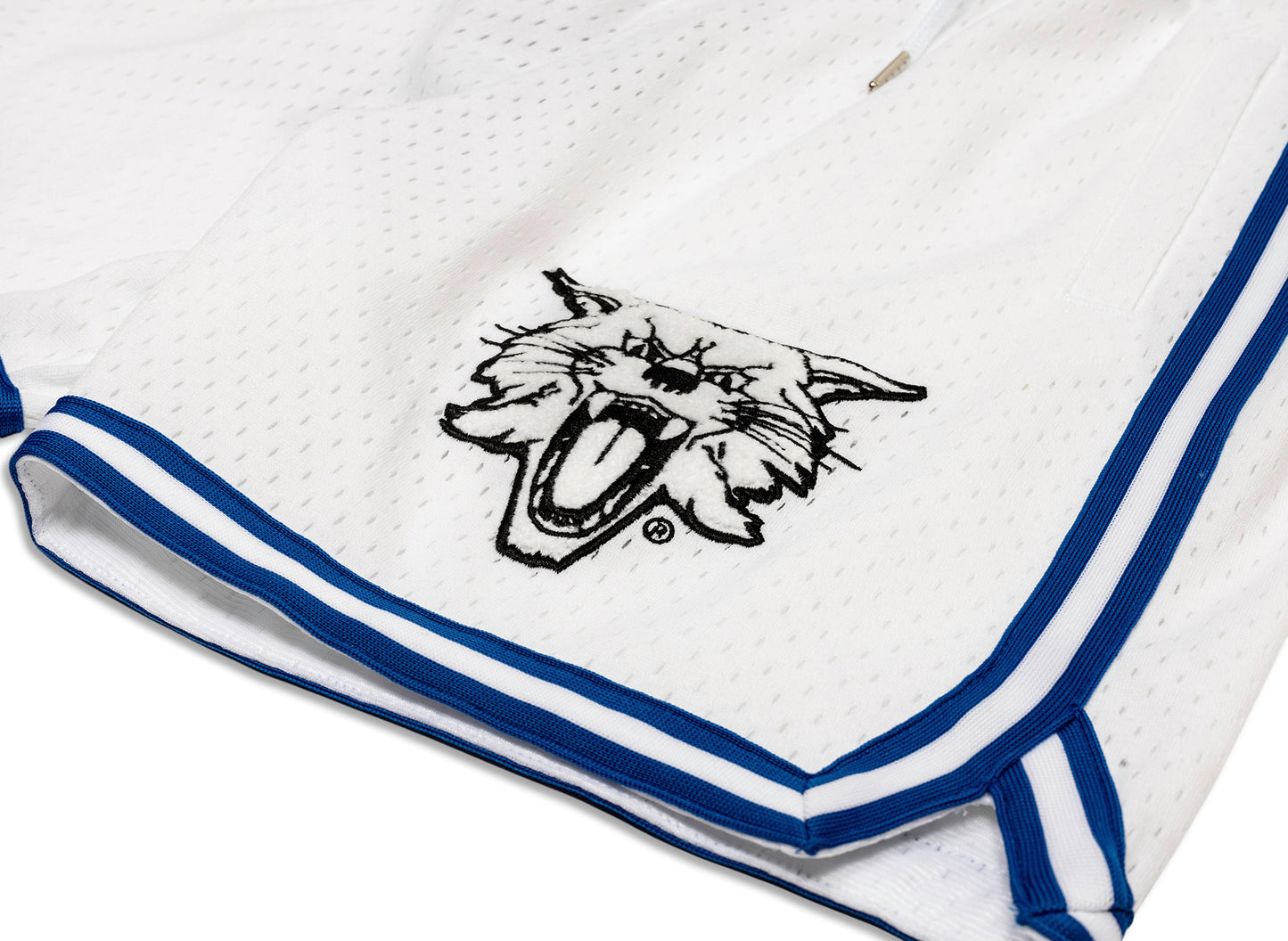 Mitchell & Ness Oneness Kentucky Wildcats Game Day Shorts in White - view 2