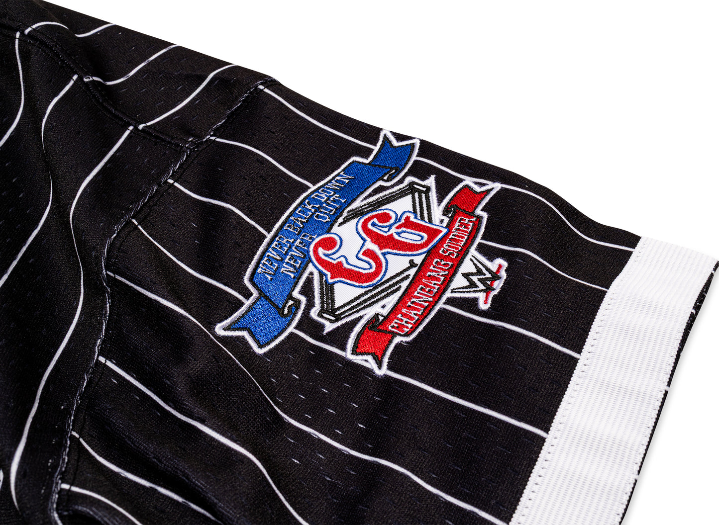 Mitchell & Ness WWE John Cena Final Seconds Striped Mesh Jersey in Black — view 5