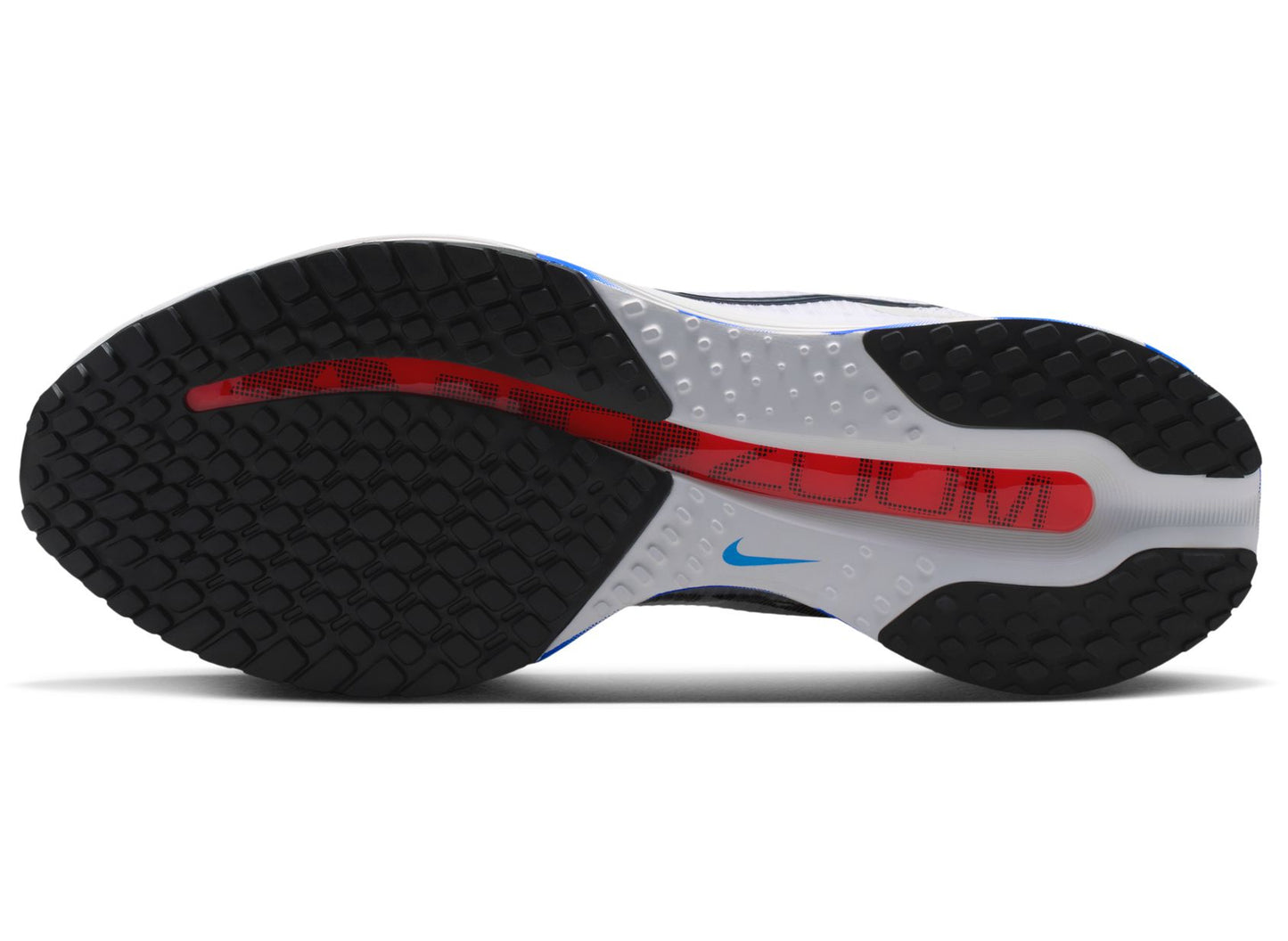 Nike Pegasus Premium CM in White / Black