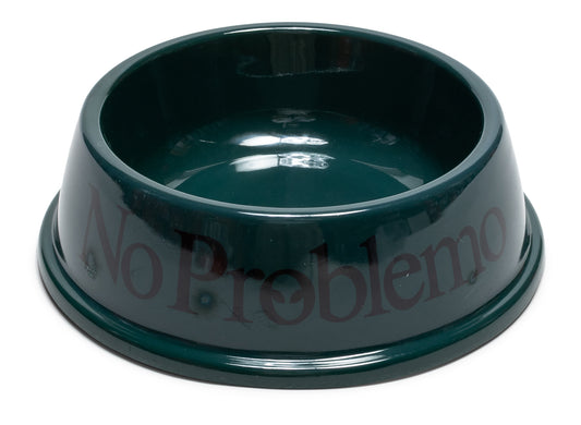 No Problemo Dog Bowl in Green