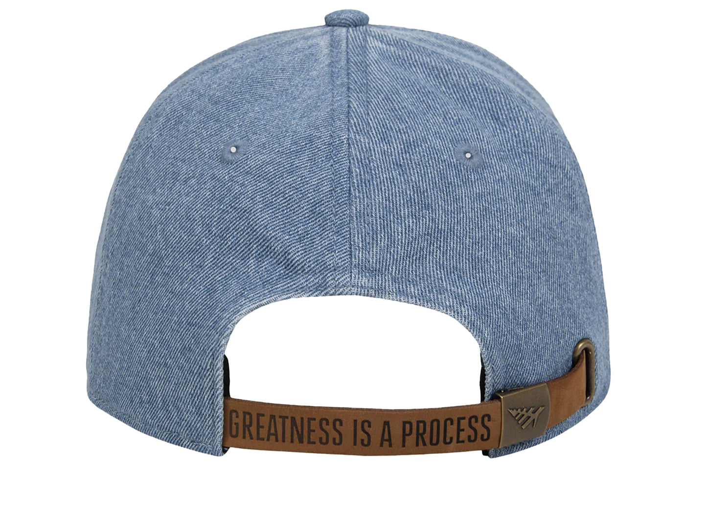 Paper Planes Dad Hat denim - view 2