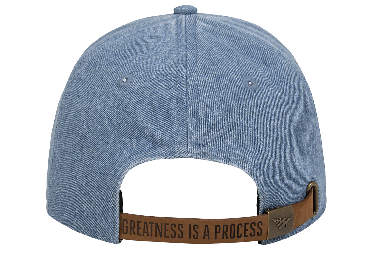 Paper Planes Dad Hat denim - view 2
