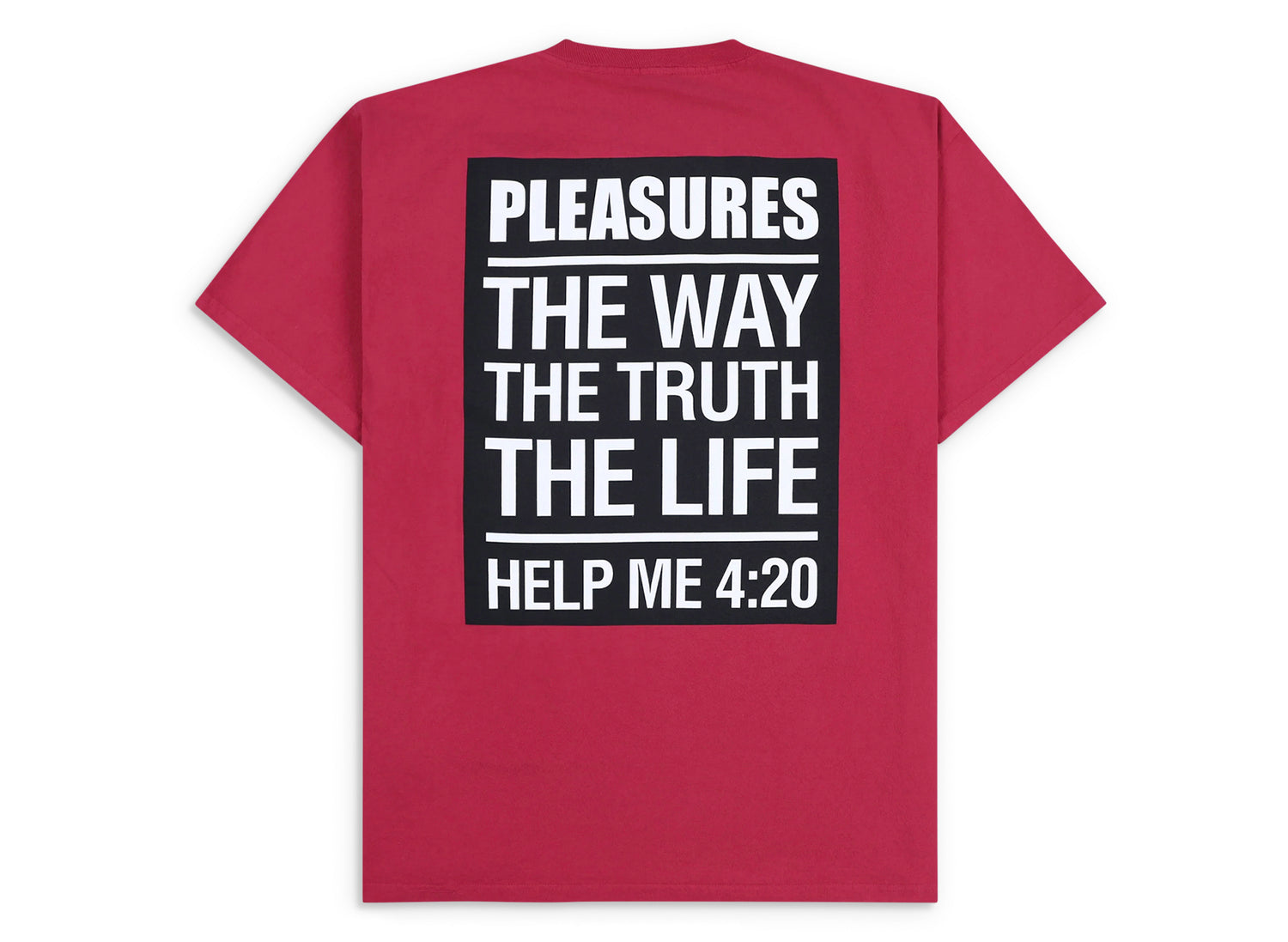 Pleasures Scripture T-Shirt in Ruby - view 2