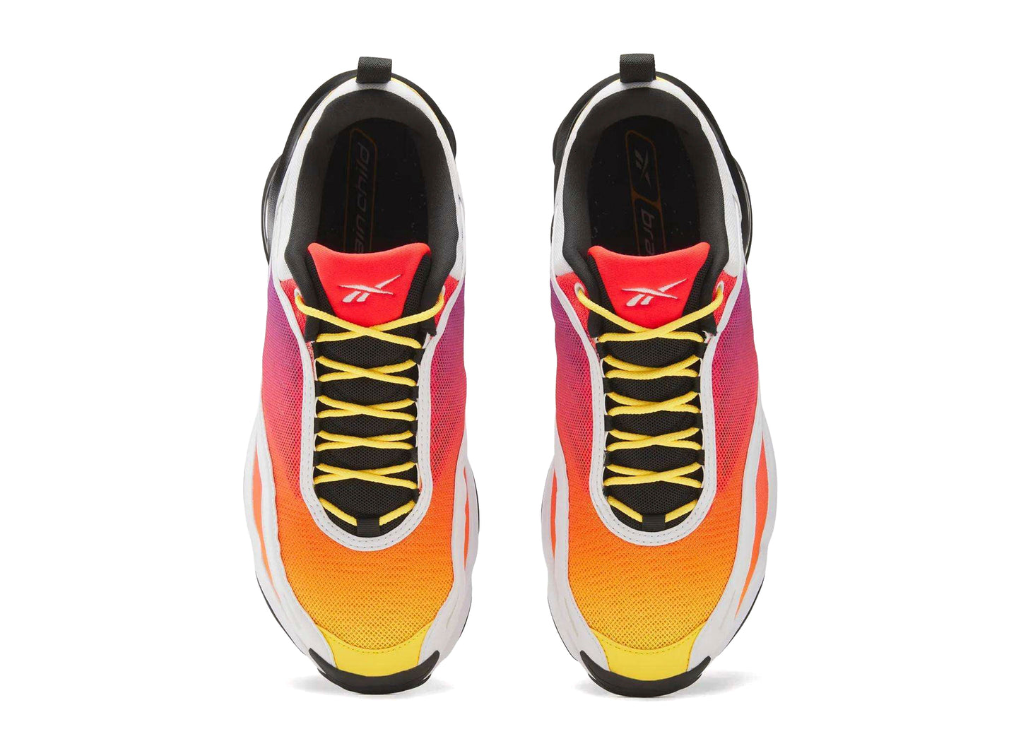 Reebok Pinnacle Collab DMX Series 3000 Brainchild