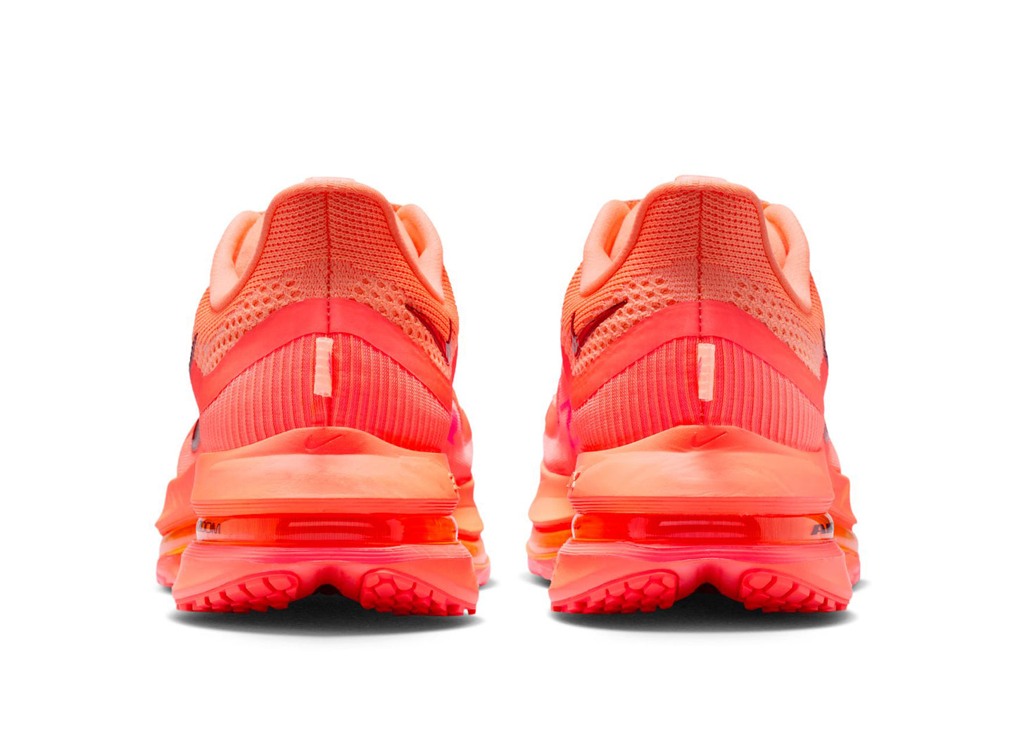 Women's Nike Pegasus Premium in Orange Pulse