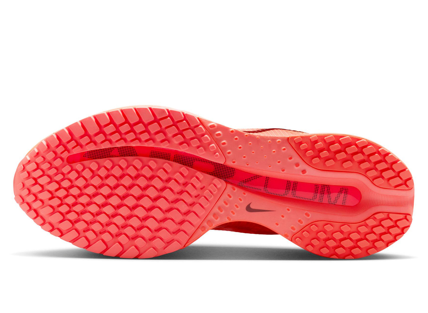 Women's Nike Pegasus Premium in Orange Pulse