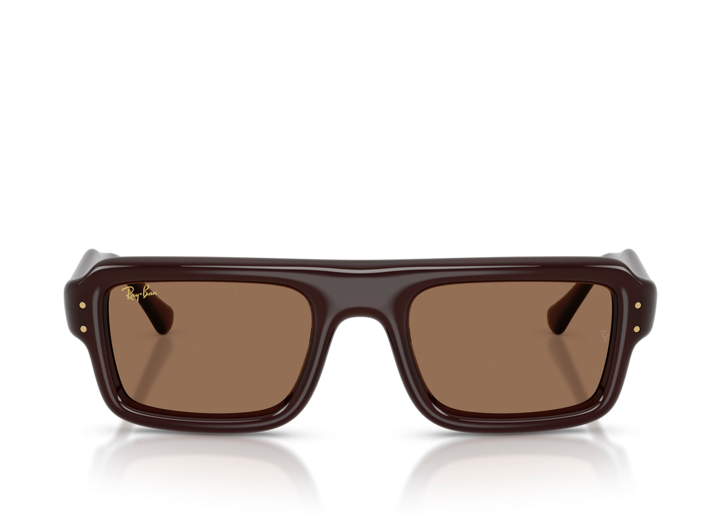 Ray Ban A$AP Rocky Flacko Puffer Sunglasses in Transparent Dark Brown w/ Dark Brown PA Bio