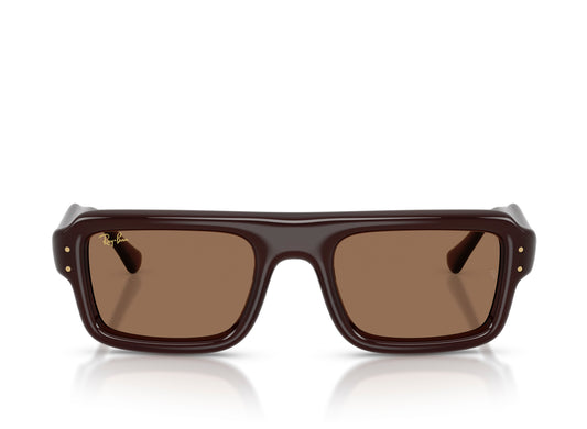 Ray Ban A$AP Rocky Flacko Puffer Sunglasses in Transparent Dark Brown w/ Dark Brown PA Bio