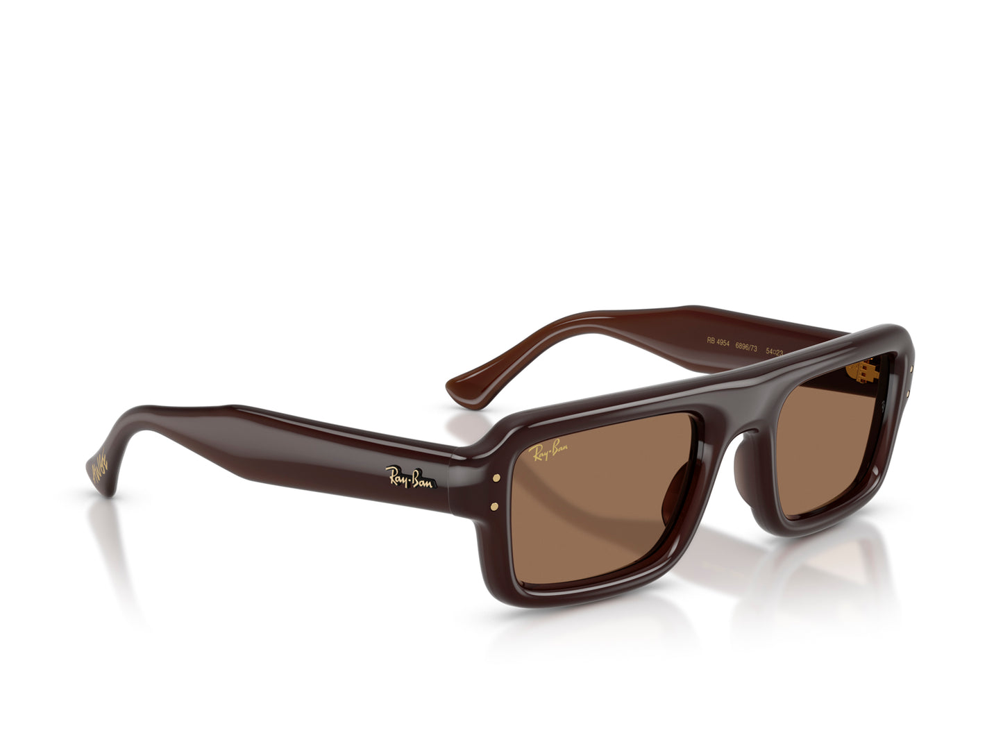 Ray Ban A$AP Rocky Flacko Puffer Sunglasses in Transparent Dark Brown w/ Dark Brown PA Bio