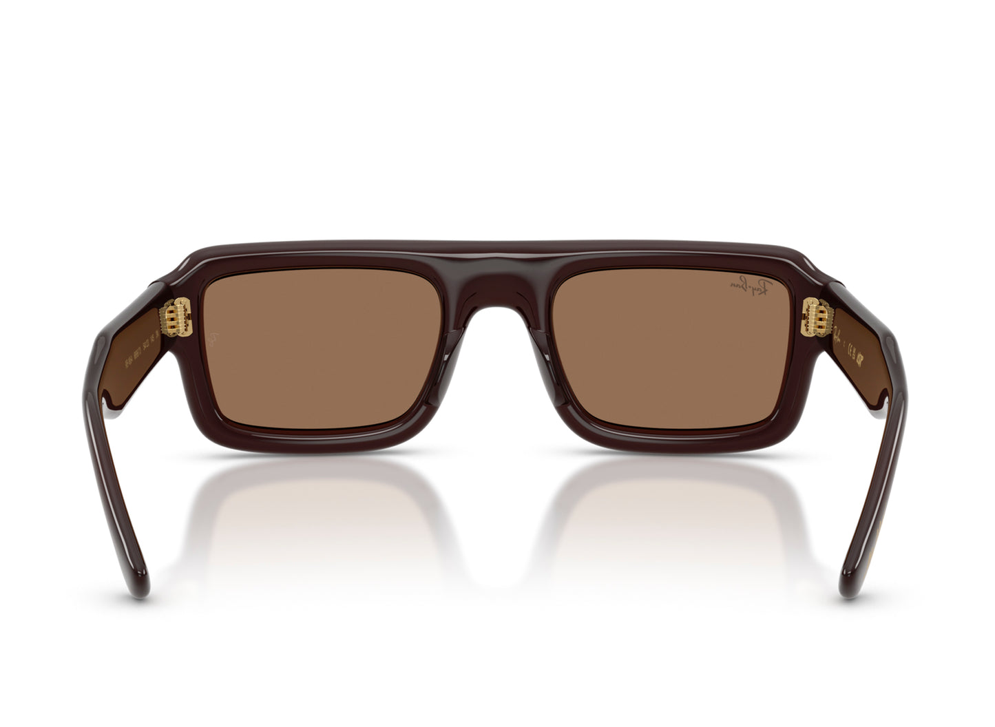 Ray Ban A$AP Rocky Flacko Puffer Sunglasses in Transparent Dark Brown w/ Dark Brown PA Bio