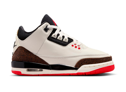 Grade School Air Jordan 3 Retro