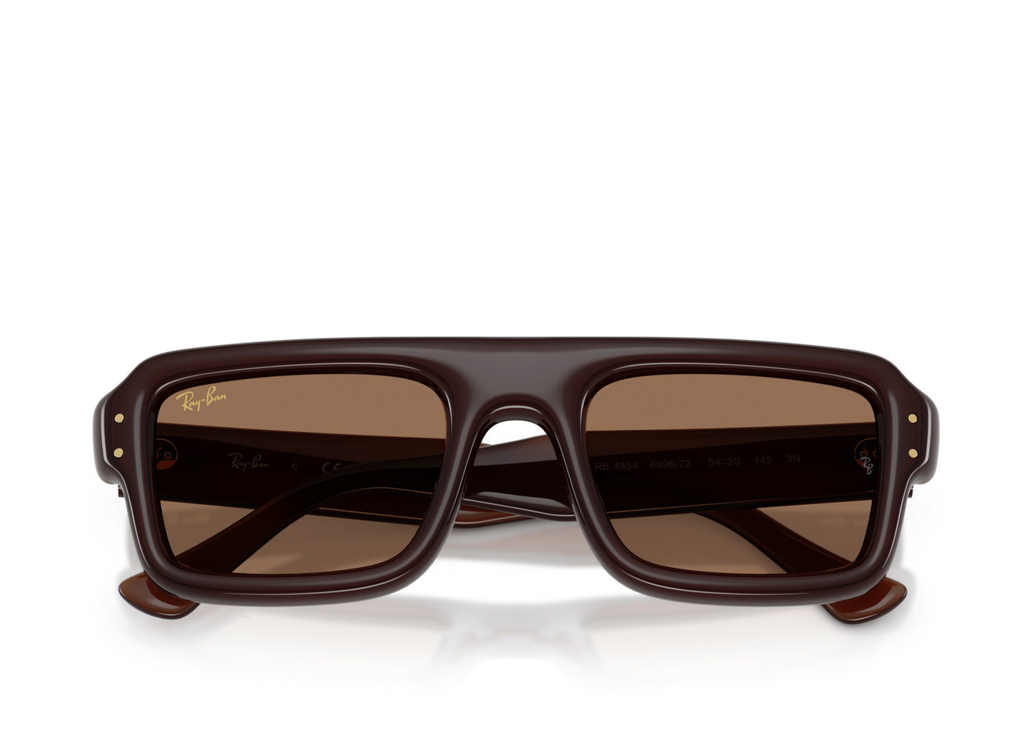 Ray Ban A$AP Rocky Flacko Puffer Sunglasses in Transparent Dark Brown w/ Dark Brown PA Bio