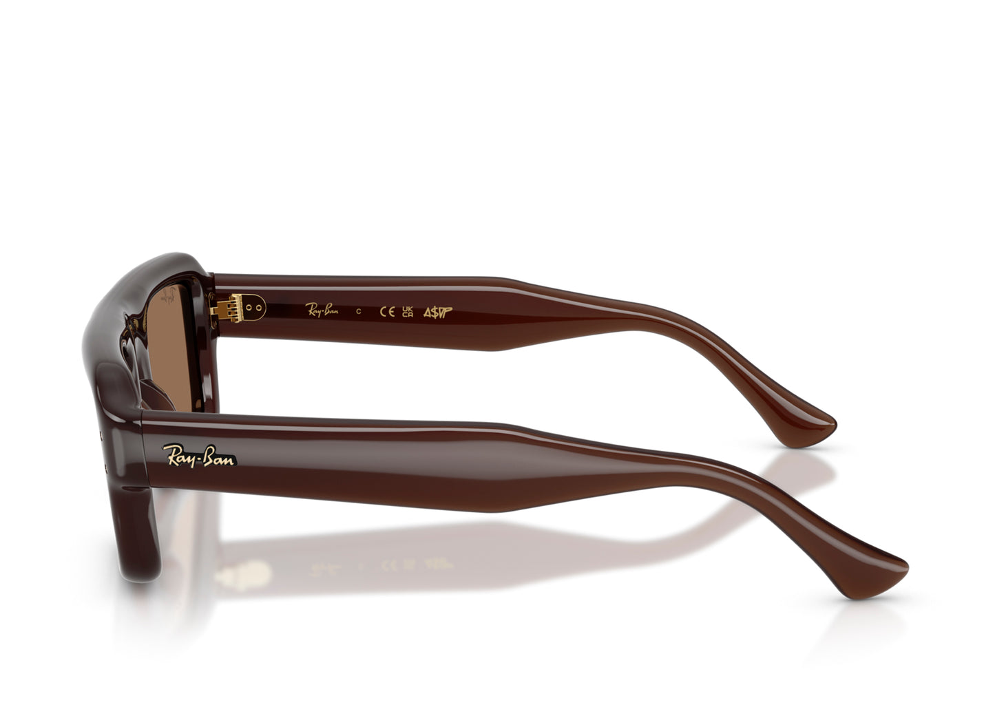 Ray Ban A$AP Rocky Flacko Puffer Sunglasses in Transparent Dark Brown w/ Dark Brown PA Bio