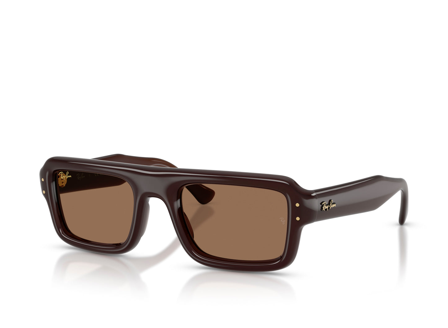 Ray Ban A$AP Rocky Flacko Puffer Sunglasses in Transparent Dark Brown w/ Dark Brown PA Bio