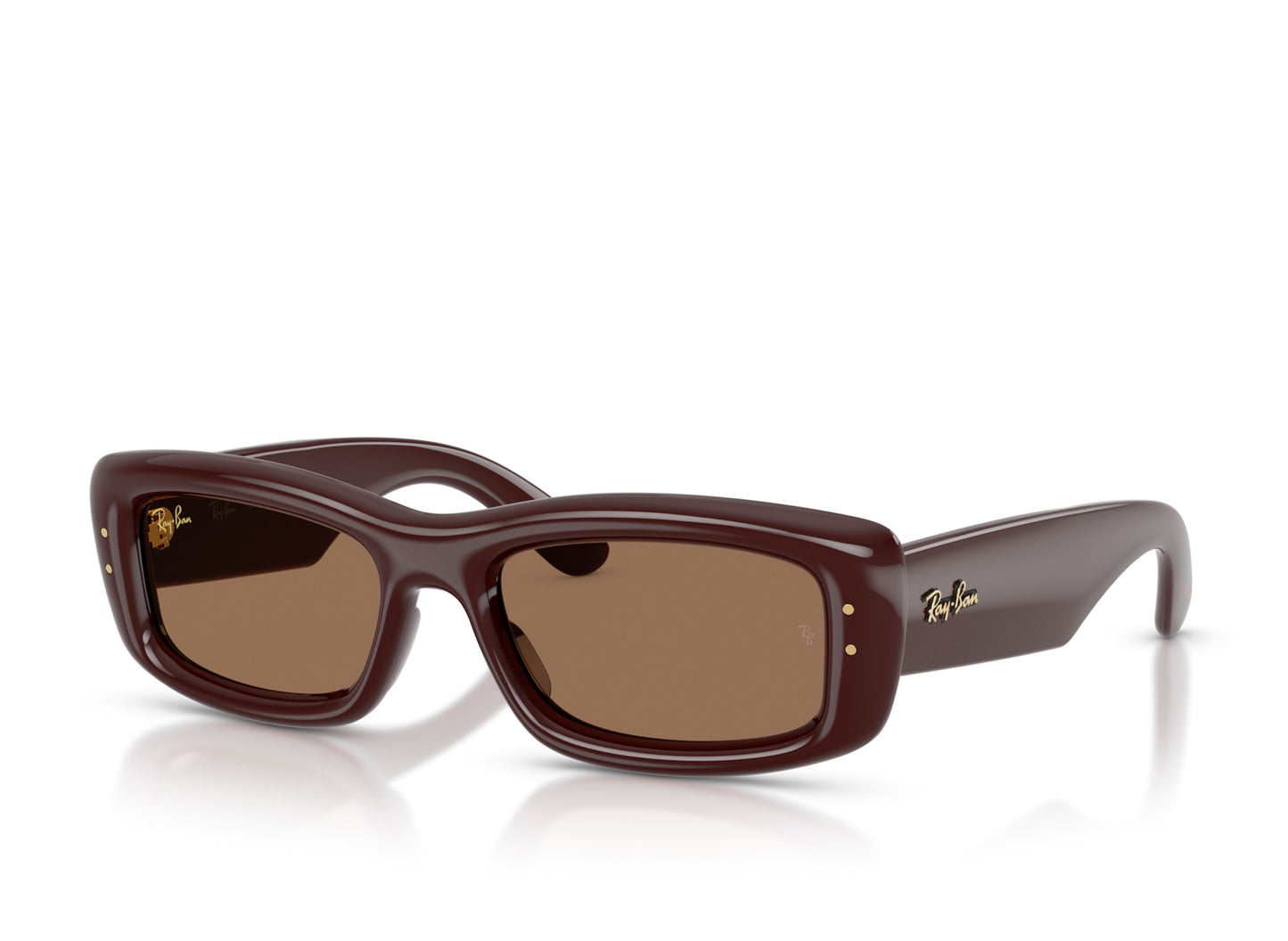 Ray Ban A$AP Rocky Kiliane Puffer Sunglasses in Transparent Dark Brown w/ Dark Brown