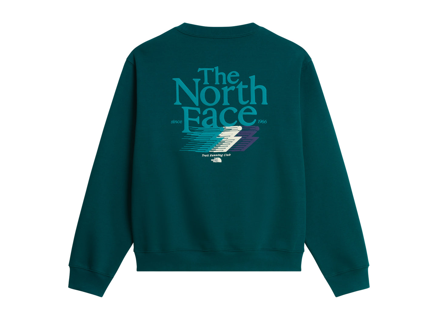 The North Face Retro Trail Relaxed Crew - Graphic in Pacific Teal