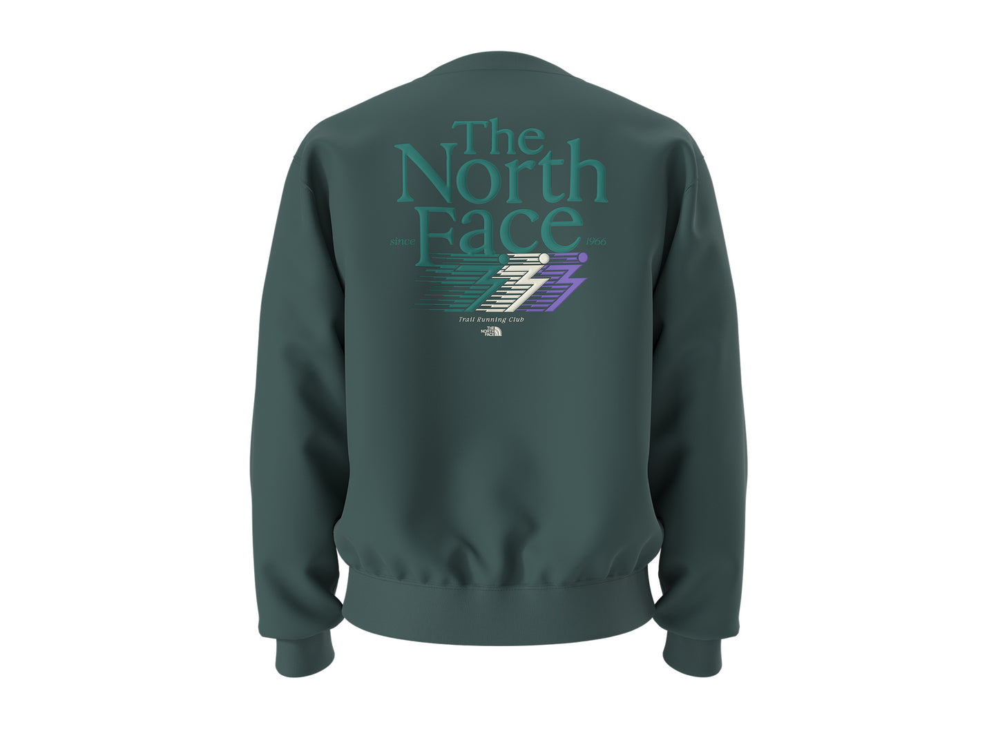 The North Face Retro Trail Relaxed Crew - Graphic in Pacific Teal