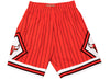 Mitchell & Ness Chicago Bulls Neon World Swingman Shorts