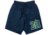 Jordan 'Legacy' AJ13 Poolside Shorts