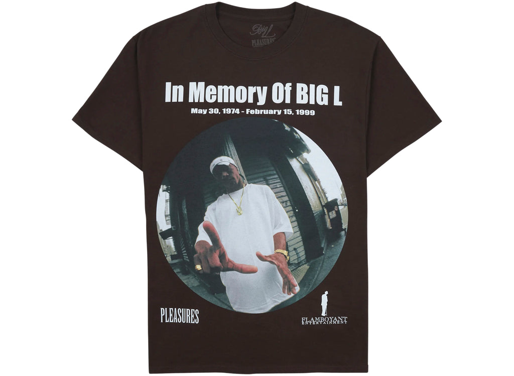 Pleasures In Memory Tee in Brown