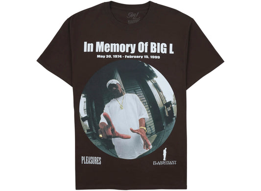 Pleasures In Memory Tee in Brown