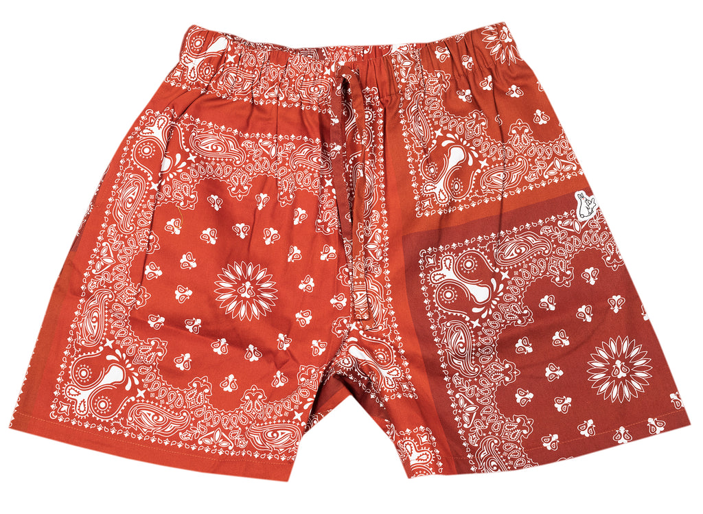 Fucking Rabbits Paisley Shorts in Red