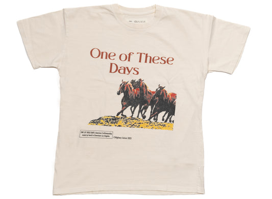 One of These Days Wild Horses Tee xld