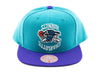Mitchell & Ness Upside Down HWC Charlotte Hornets Snapback