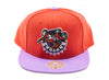 Mitchell & Ness Upside Down HWC Toronto Raptors Snapback