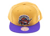 Mitchell & Ness Purple Under Finals Snapback HWC Toronto Raptors