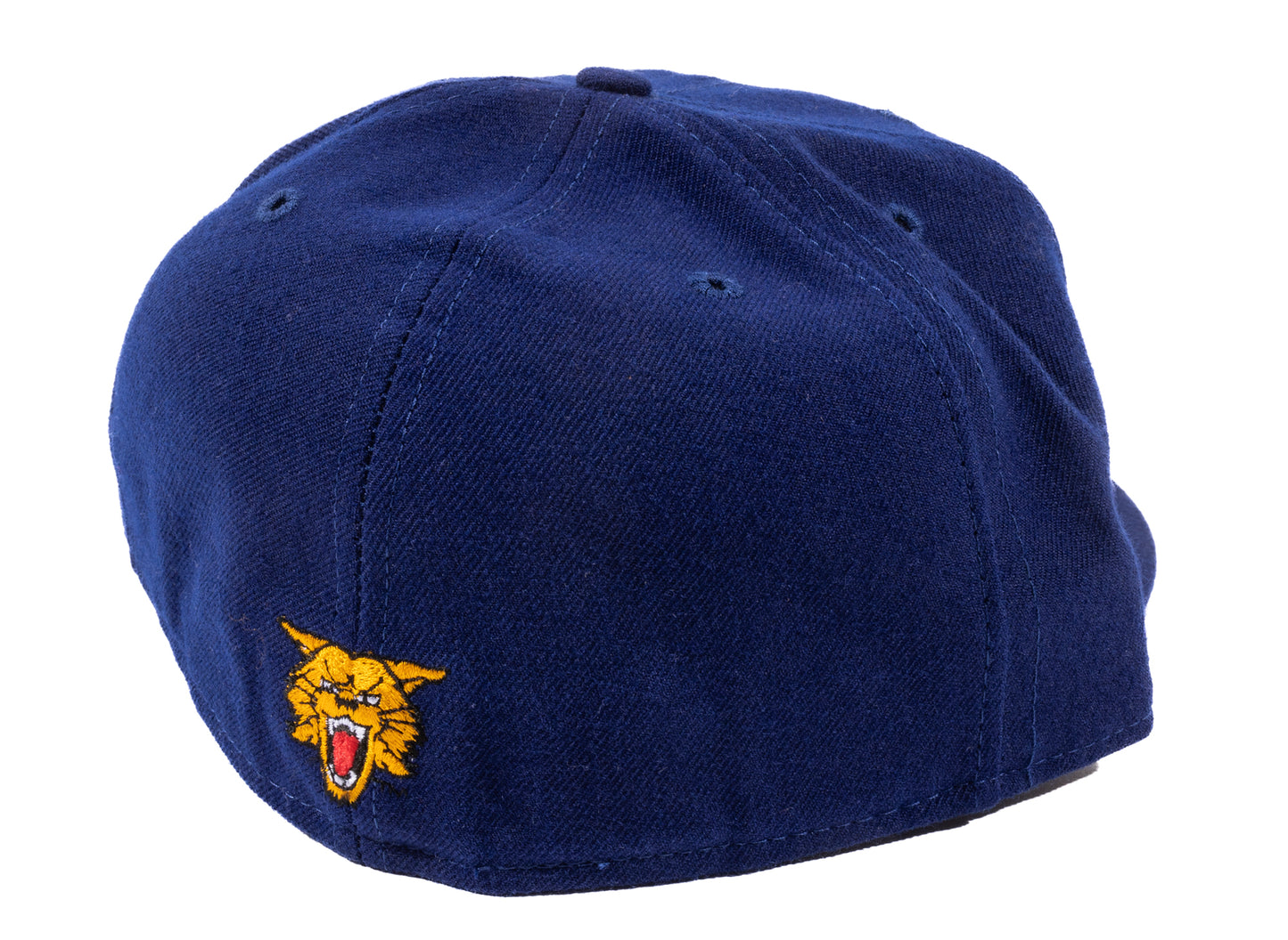 Vintage Kentucky Fitted Hat