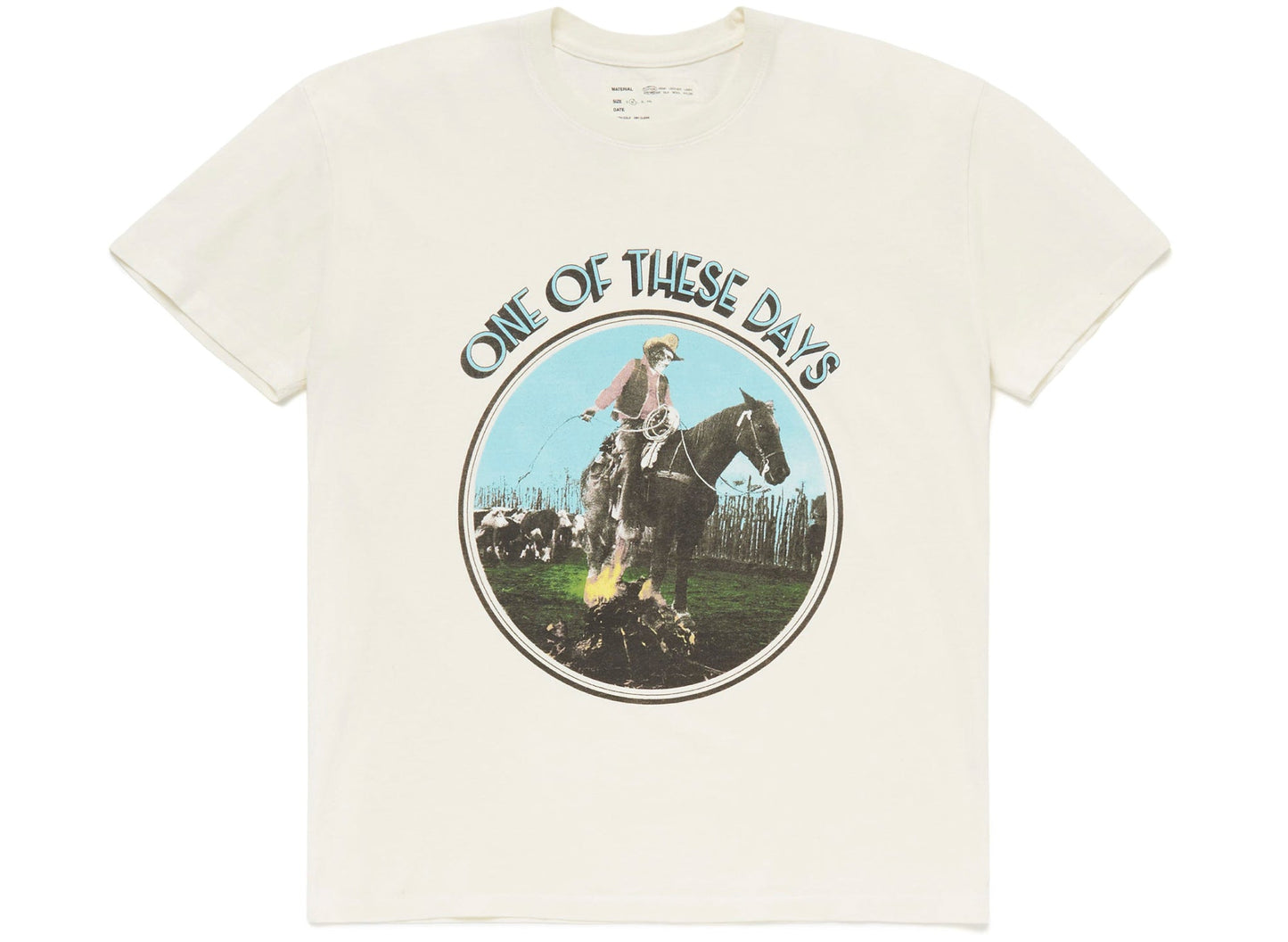 Camiseta One of These Days Trail Ends