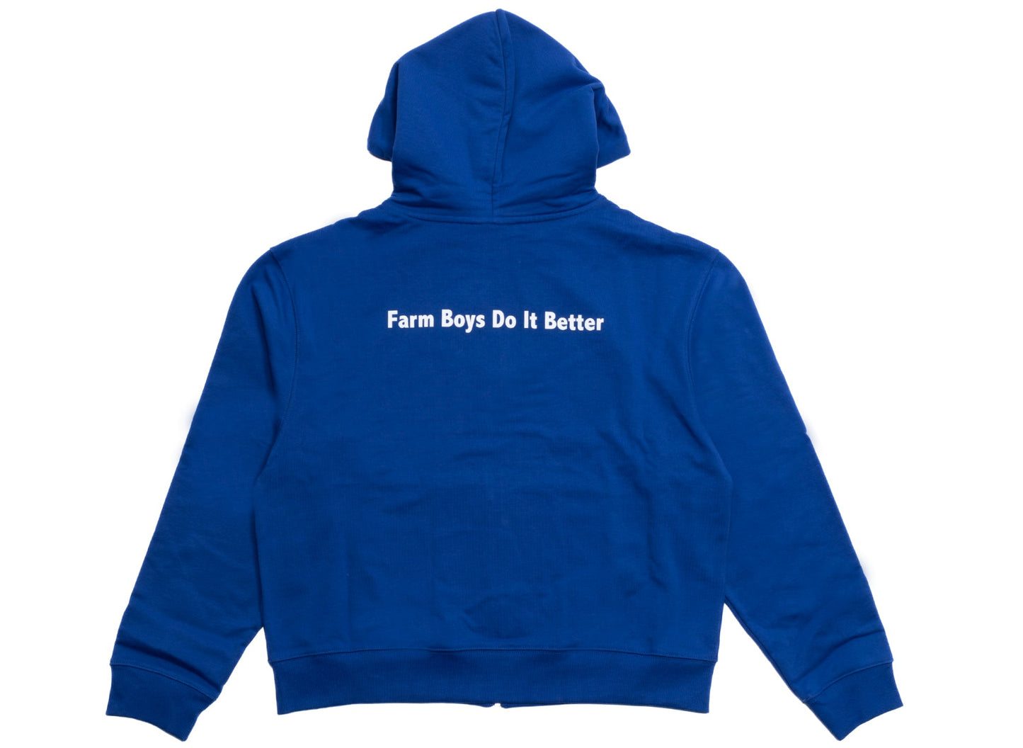 Sky High Farm Quil Lemons Farm Hoodie - view 2